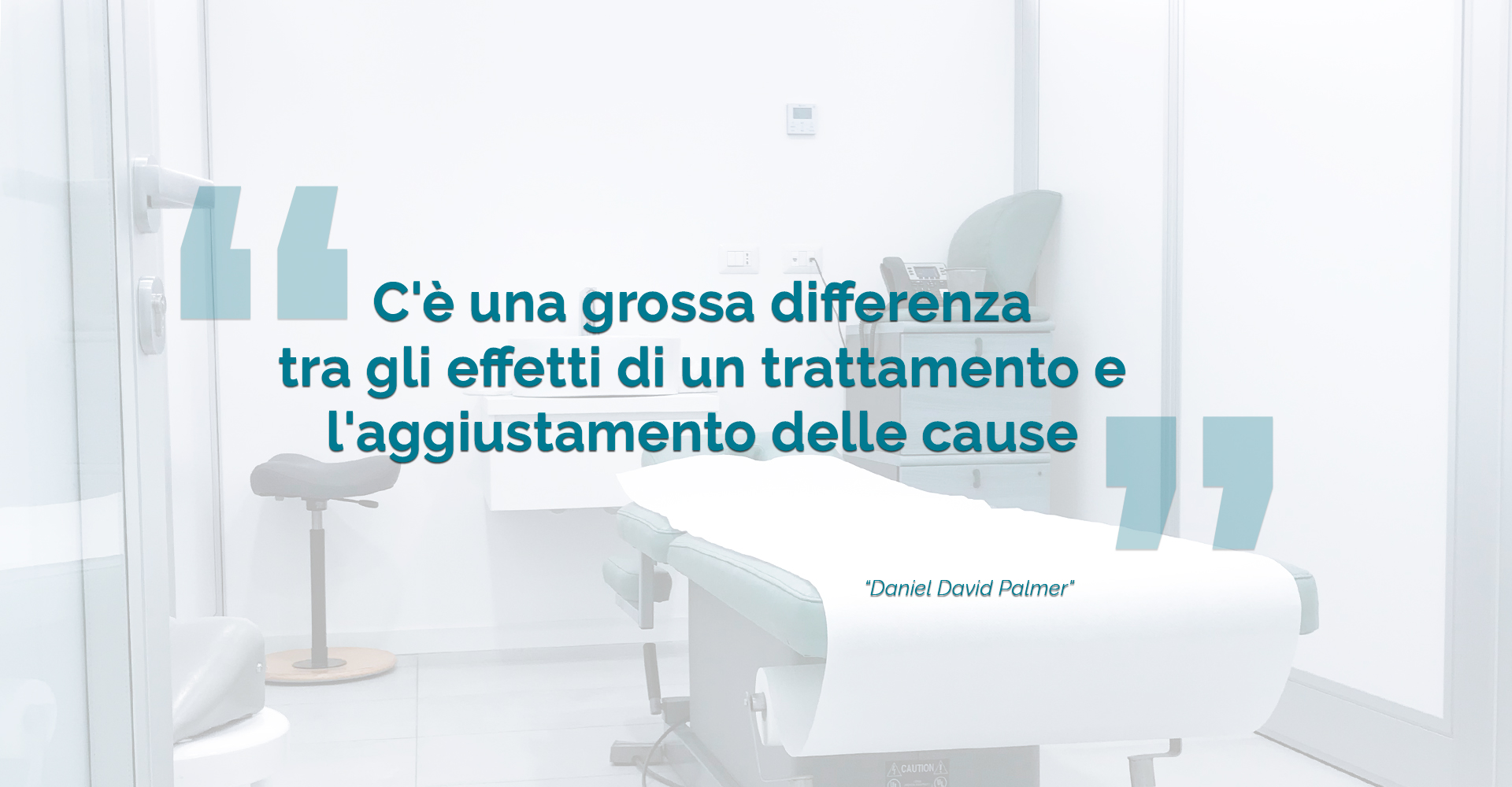 citazione-palmer