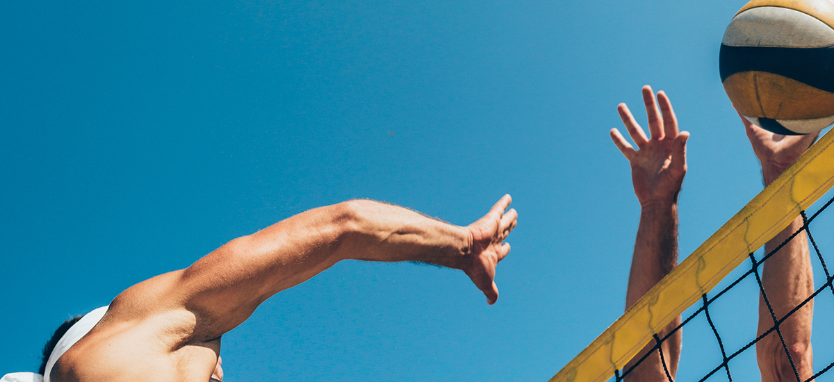 palla a volo