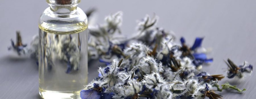 Corso Seminario Aroma Abito