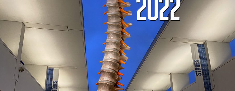 WORLD SPINE DAY